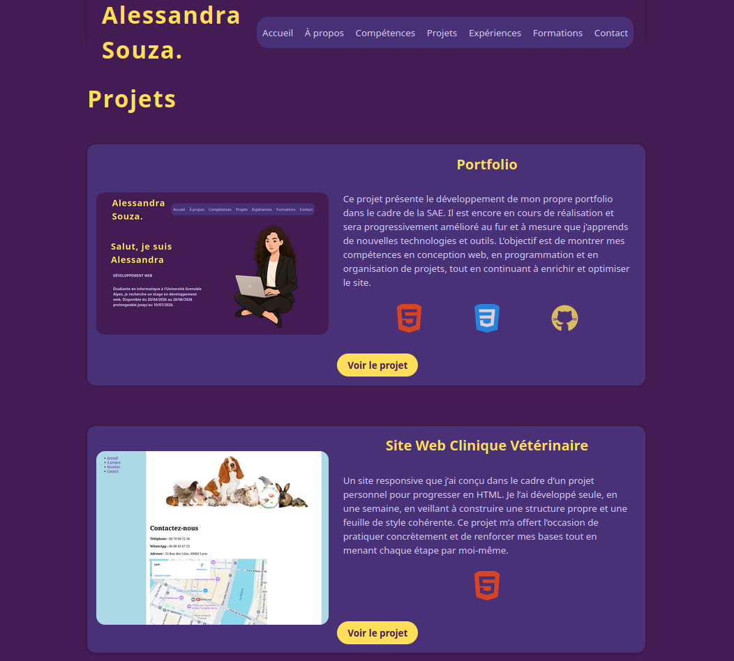 Capture d'écran du portfolio